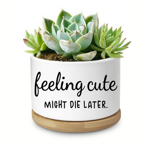 Funny succulent planter - planter, with