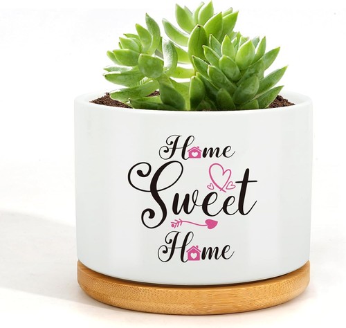 Wixelon house planter - wixelon,