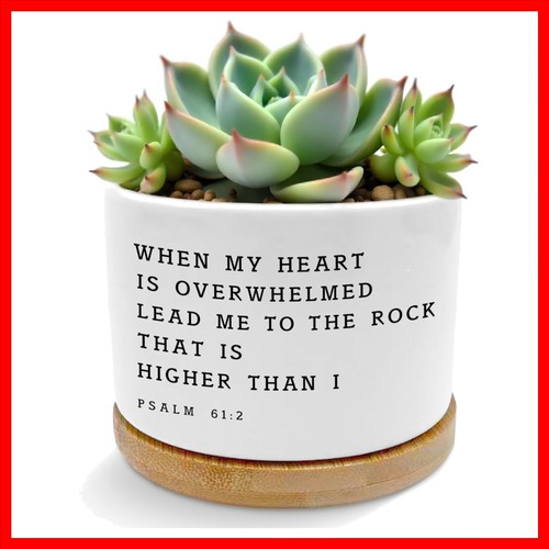 Christian bible verse - christian,
