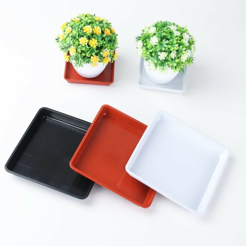 Indoor outdoor square - indoor,