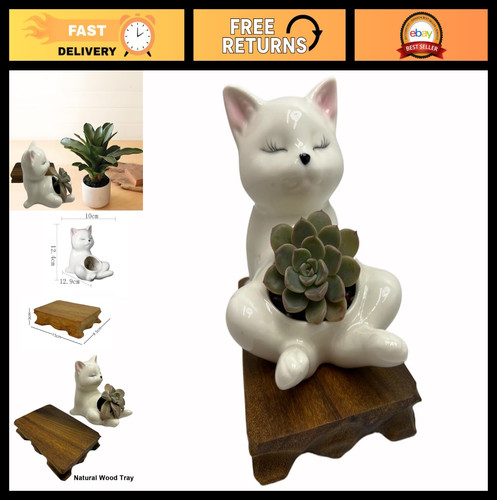 White ceramic succulent - white,