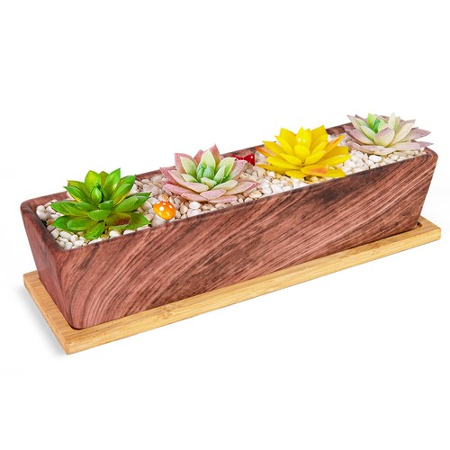 Large succulent pots - succulent, 12.1"