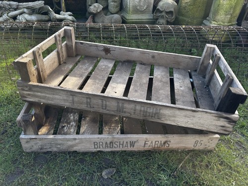 Wooden garden trays - trays,