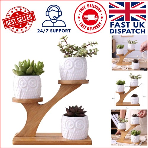 Nordic style owl planter set - style,