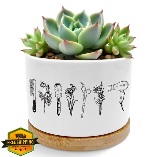 Roxmart hair stylist succulent - roxmart,